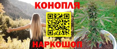 трава Можайск