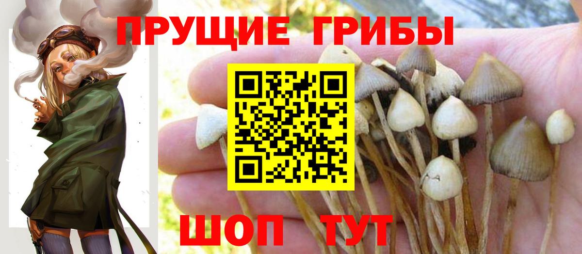 купить   Псилоцибиновые грибы мухоморы  Великий Устюг  Вход с VPN  Псилоцибиновые грибы Cubensis 